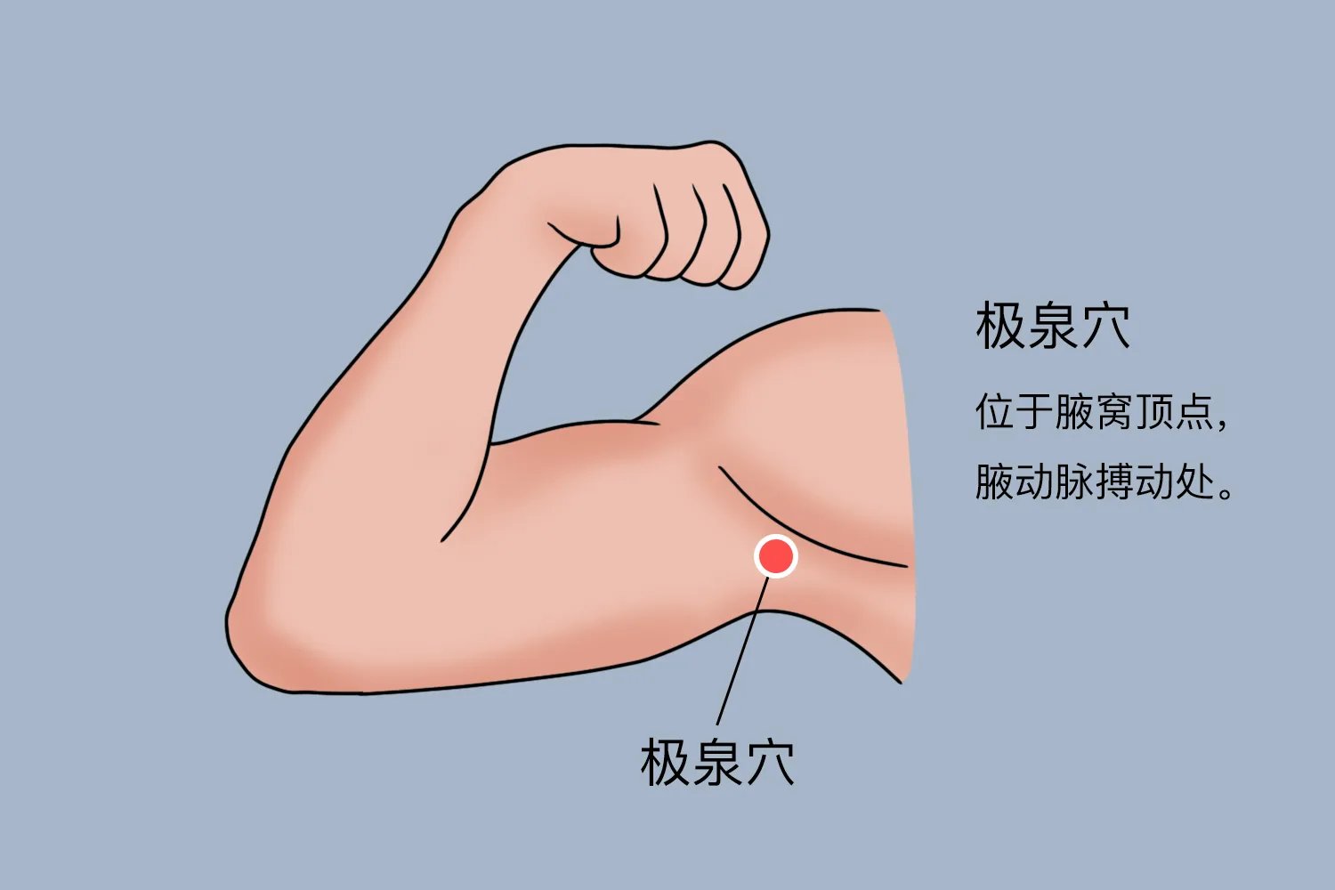 偏瘫的针灸治疗的位置示意图