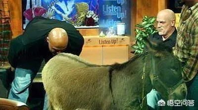 能够让巴克利认错道歉的追梦格林，是什么样的存在？