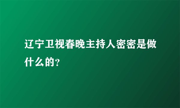 辽宁卫视春晚主持人密密是做什么的？