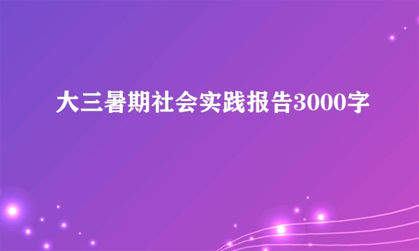 大三暑期社会实践报告3000字