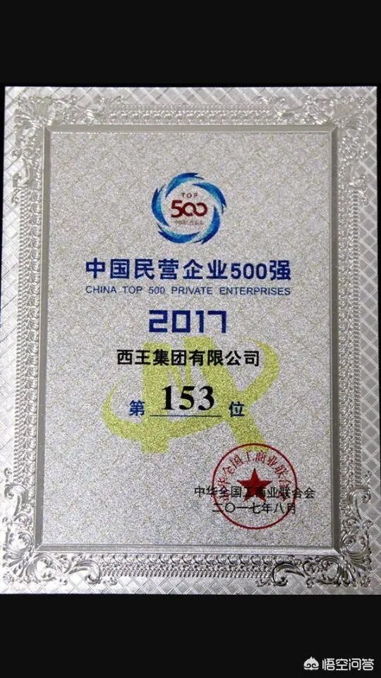 山东的西王村，到底有多富？