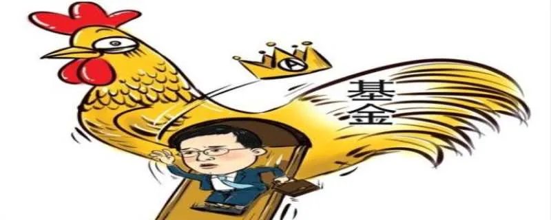 什么是场内基金