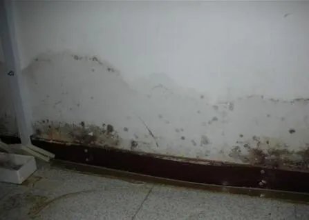 卫生间墙面渗水的原因及处理方法