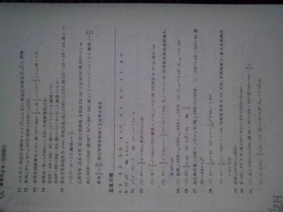 浙教版九年级上册数学作业本答案