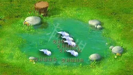 《梦幻西游》牧场饰品有哪些？牧场饰品选择攻略