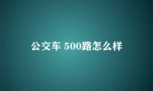 公交车 500路怎么样
