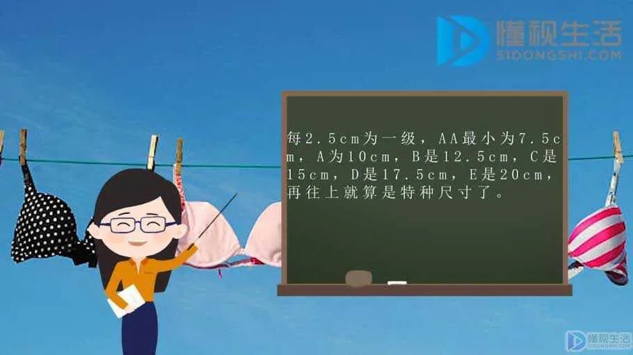 文胸罩杯的计算方法