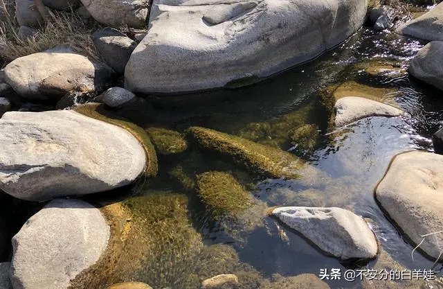 保定一日游最佳景点