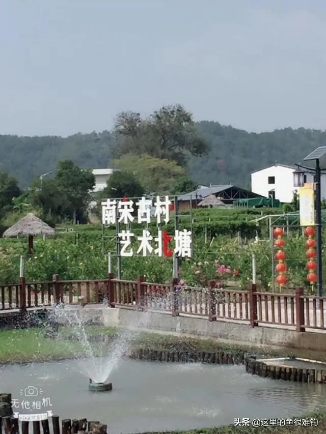 美丽的梅州县城大埔有哪些值得一看的旅游景点？