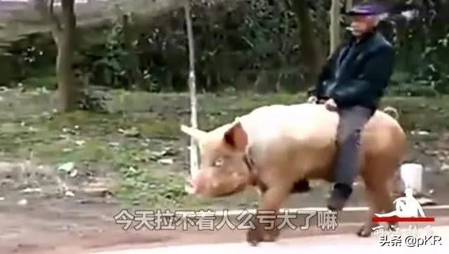 藏品在家不拿出去能私下交易吗?怎样才能把藏品卖出去？