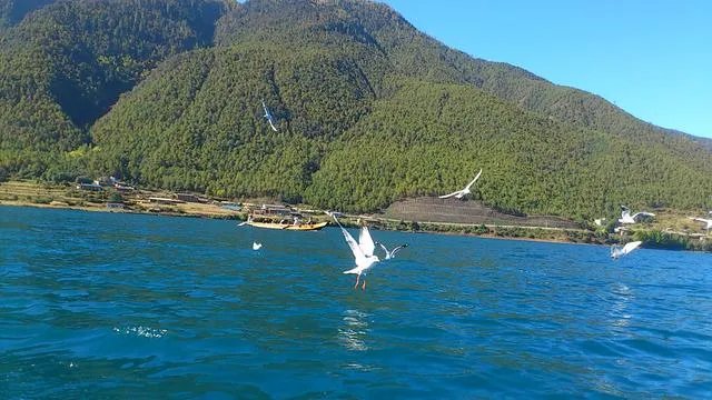 香格里拉和泸沽湖哪个更值得去？