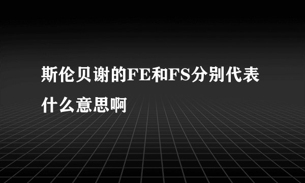 斯伦贝谢的FE和FS分别代表什么意思啊