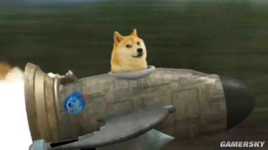 还记得那只神烦狗doge吗？它现在已经是一位“老奶奶”了