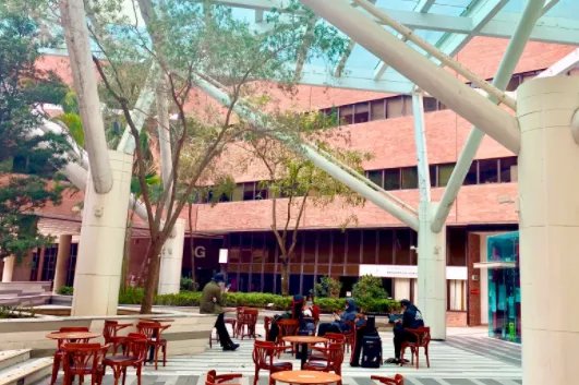 香港的大学有哪些?