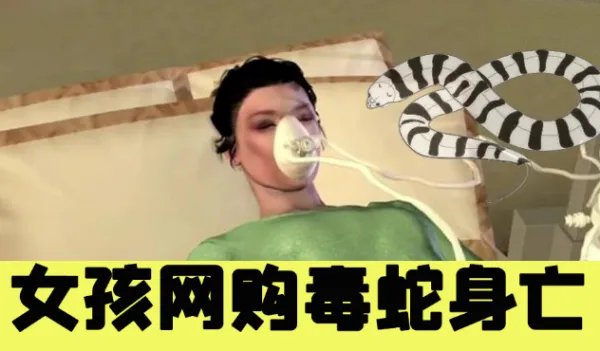 女孩网购毒蛇当宠物，被咬伤去世，索赔了吗？