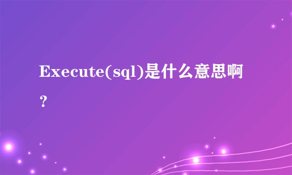 Execute(sql)是什么意思啊？