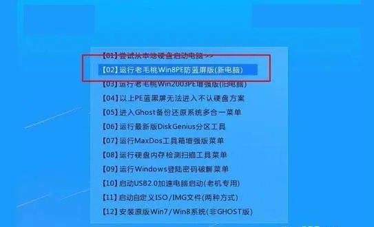 使用大番茄一键系统重装，重启后进去大番茄出现这个，怎么解决？
