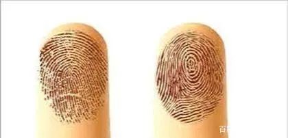 手指上的斗和簸箕有什么说法吗？分别代表了什么？