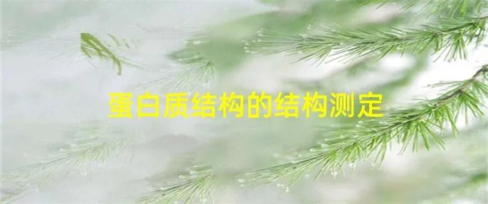 蛋白质结构的结构测定