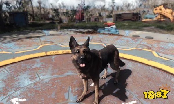 辐射4怎么设置全屏 辐射4全屏设置方法介绍