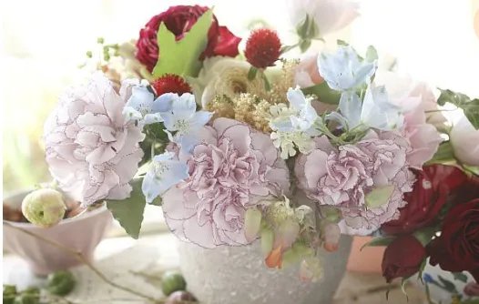 请问康乃馨在室内怎样养？