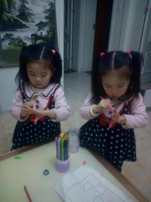 你见过的最漂亮的双胞胎是哪对?