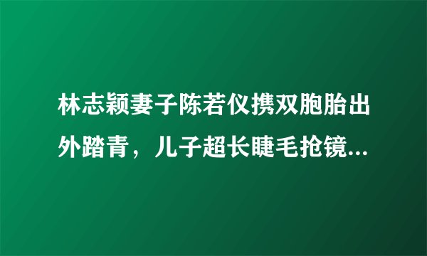 林志颖妻子陈若仪携双胞胎出外踏青，儿子超长睫毛抢镜可爱十足