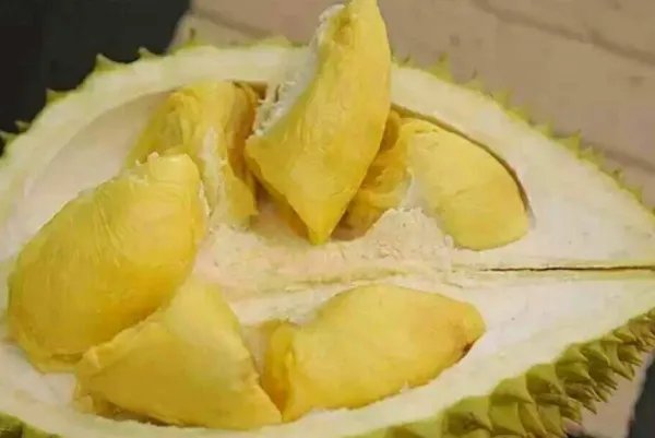 去泰国旅游，看见哪种榴莲千万别买？