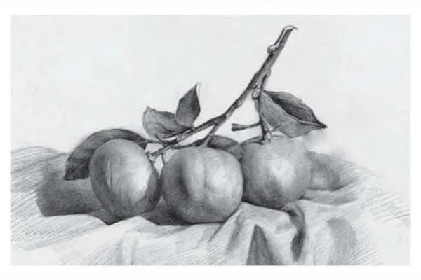素描静物作画步骤图，有图的，有步骤的