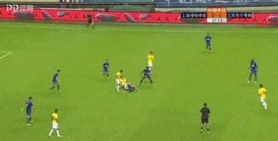 吴曦和孙世林在申花和苏宁的比赛中互踹引发冲突，足协会追加处罚吗？对此你怎么看？