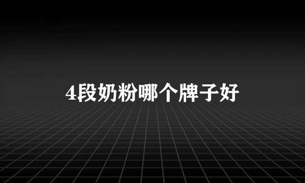 4段奶粉哪个牌子好