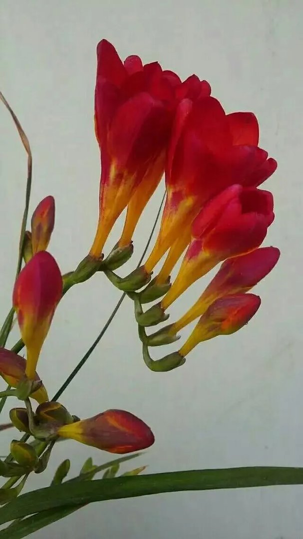 2016 年,你拍过最棒的图片是哪一张?