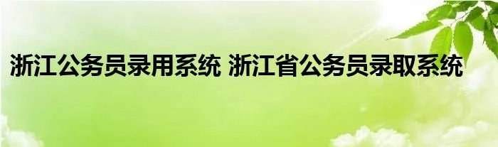 浙江公务员录用系统 浙江省公务员录取系统