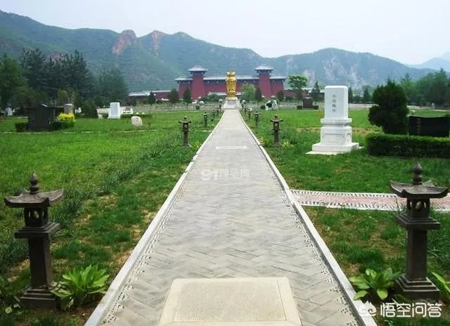 偷骨灰盒敲诈陵园，你怎么看这事？