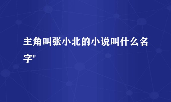 主角叫张小北的小说叫什么名字