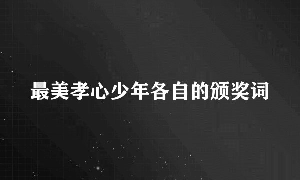 最美孝心少年各自的颁奖词