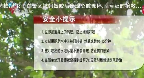 女子景区被蚂蚁咬伤晕厥，该不该找景区索赔？