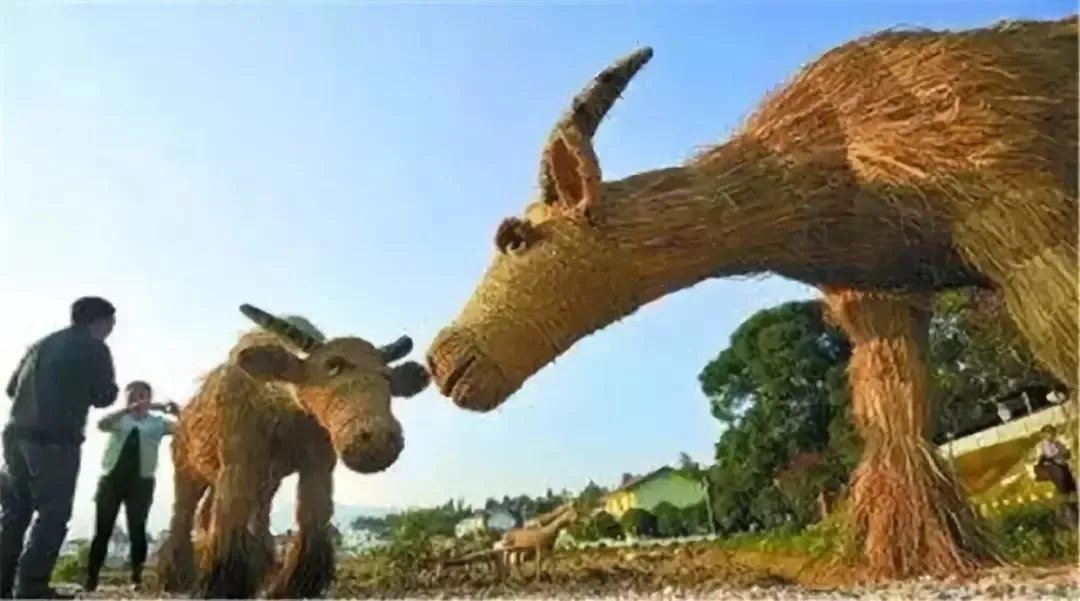 废物利用:脑洞大开的乡村景观