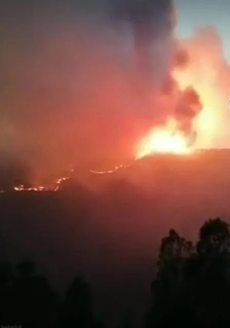 青岛开发区小珠山森林大火，你想和孩子怎么聊聊火灾？