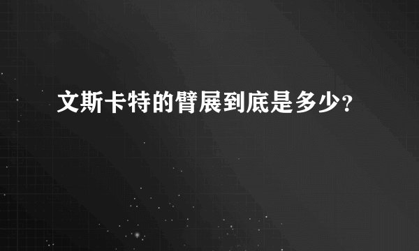 文斯卡特的臂展到底是多少？