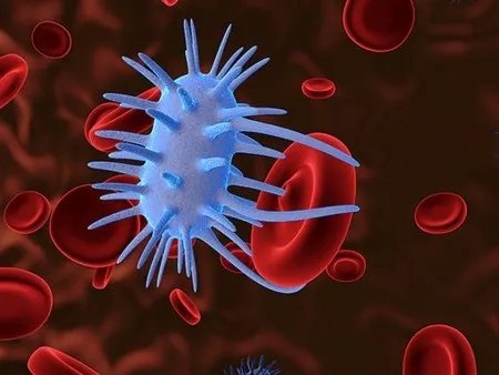 全球新冠死亡病例超过100万例  联合国秘书长再次呼吁团结抗疫