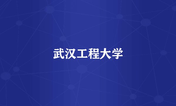 武汉工程大学