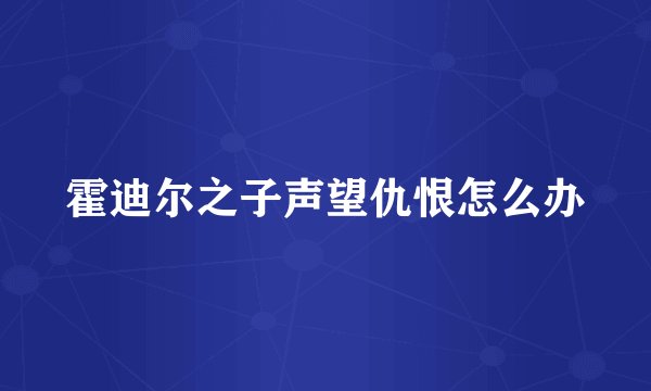 霍迪尔之子声望仇恨怎么办
