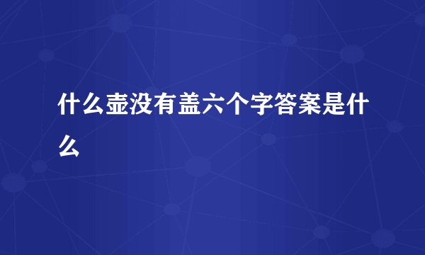 什么壶没有盖六个字答案是什么