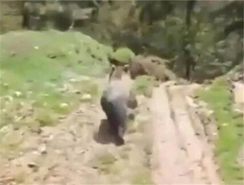 工人拆化粪池突发险情!地底钻出怪物（图）