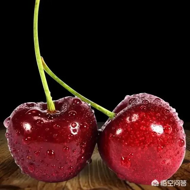 大樱桃市场零售价最贵卖到近二十元一斤，为何不发展大樱桃种植呢？