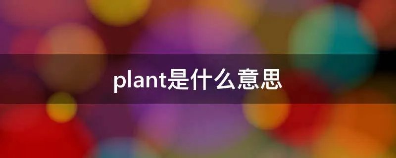 plant是什么意思