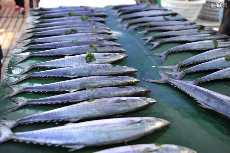 南宁破海鲜走私案 涉案金额约5000万元