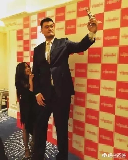 你觉得NBA球星和姚明一起合影会是什么效果？