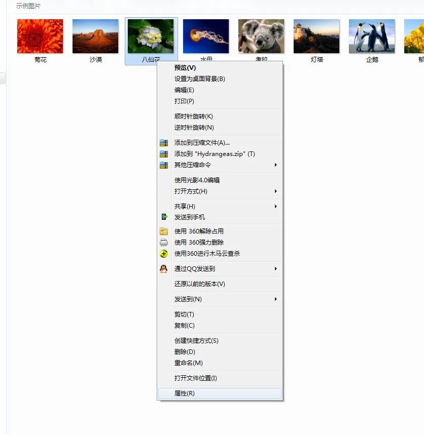 XP系统鼠标放在相片上的照相时间怎么修改